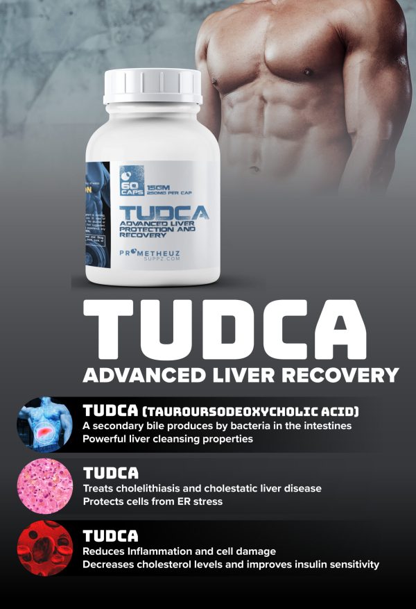 TUDCA Ingredients scaled 1